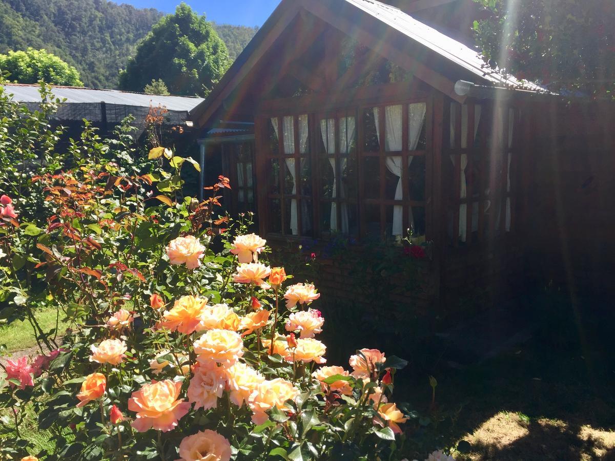 Tu Cabana San Martin de los Andes Exterior photo